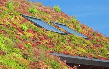 Ossington living roof systems