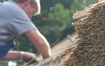 professional Ossington thatchers