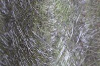 Ossington fibreglass roof work